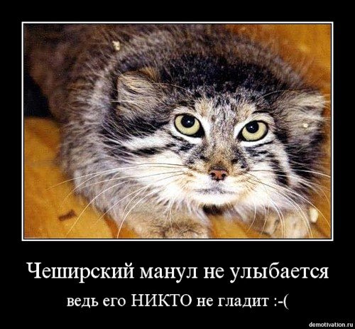 http://cs1940.vkontakte.ru/u23747728/80170842/x_01038867.jpg