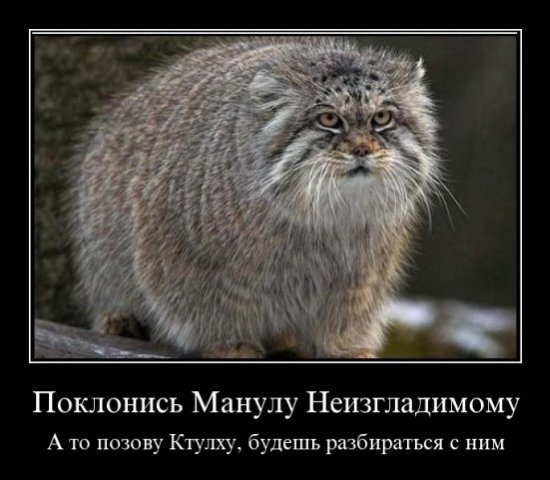 http://cs1940.vkontakte.ru/u23747728/80170842/x_1813ea1c.jpg