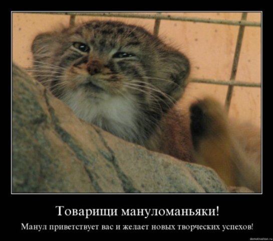 http://cs1940.vkontakte.ru/u23747728/80170842/x_302bdeb5.jpg