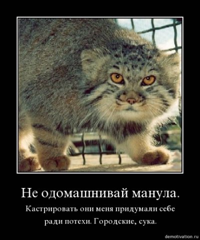 http://cs1940.vkontakte.ru/u23747728/80170842/x_5f80c350.jpg