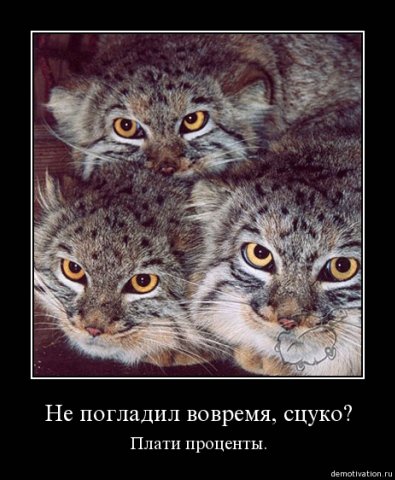 http://cs1940.vkontakte.ru/u23747728/80170842/x_b2dfcf4d.jpg