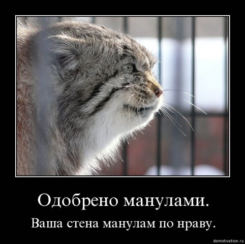 http://cs1940.vkontakte.ru/u23747728/80170842/x_fb1483b9.jpg
